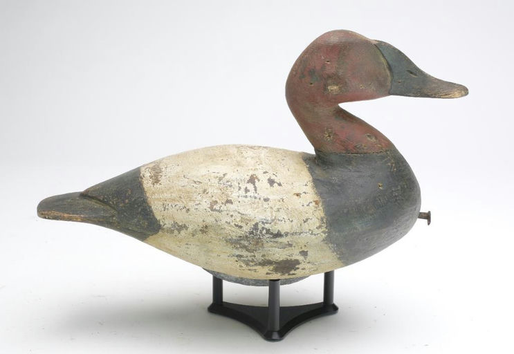 Reggie Birch – Canvasback – 2023