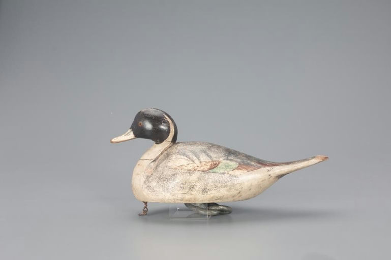 Ward Brothers – Humpback Pintail Drake – 2021