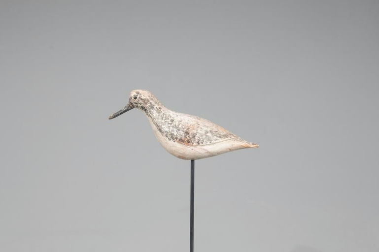 Verity Family – Sanderling – 2021