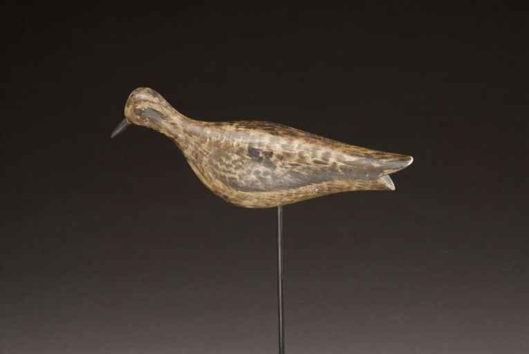 Joseph Lincoln – Golden Plover – 2009