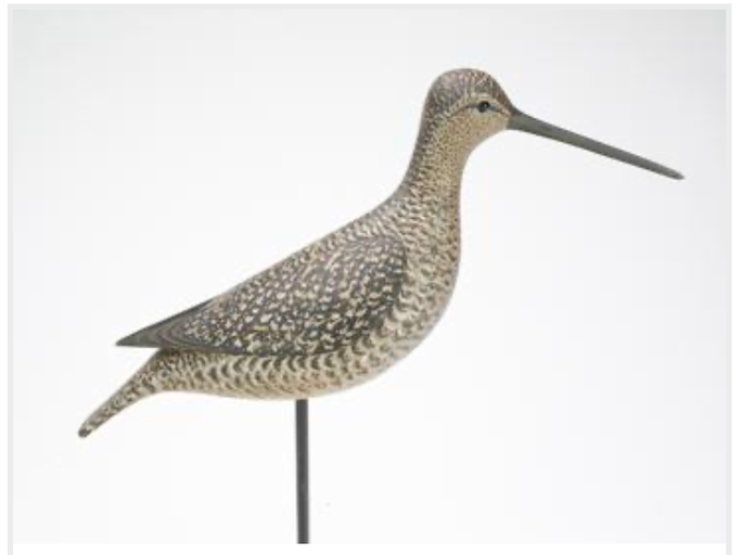Marty Hanson – Yellowlegs