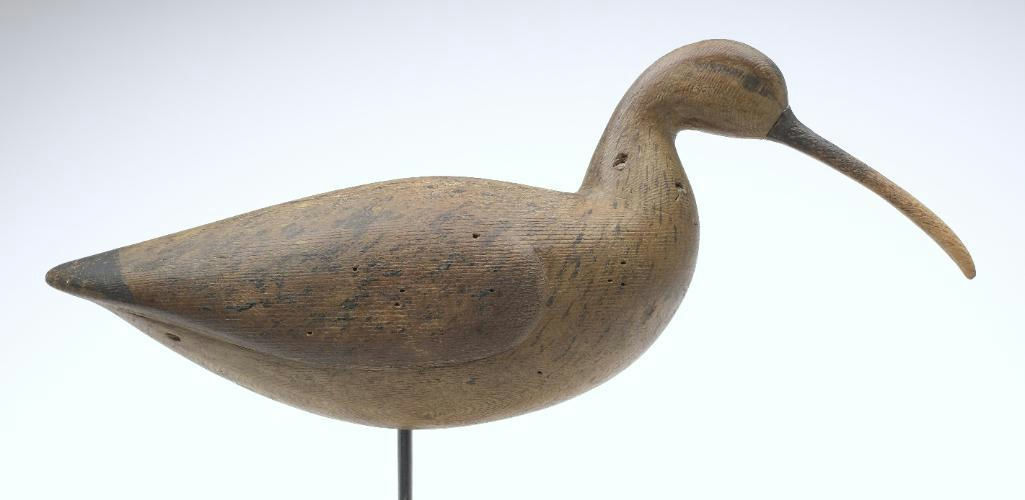 Cameron McIntyre – Curlew – 2023