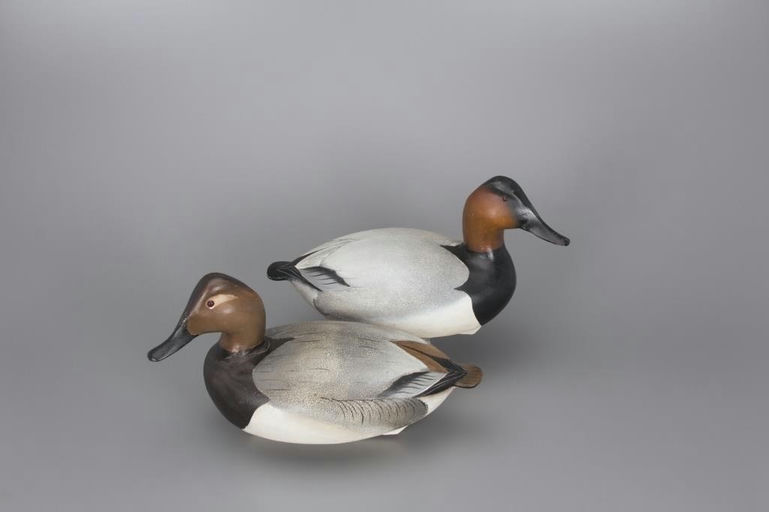 Ward Brothers – Canvasback Pair – 2017