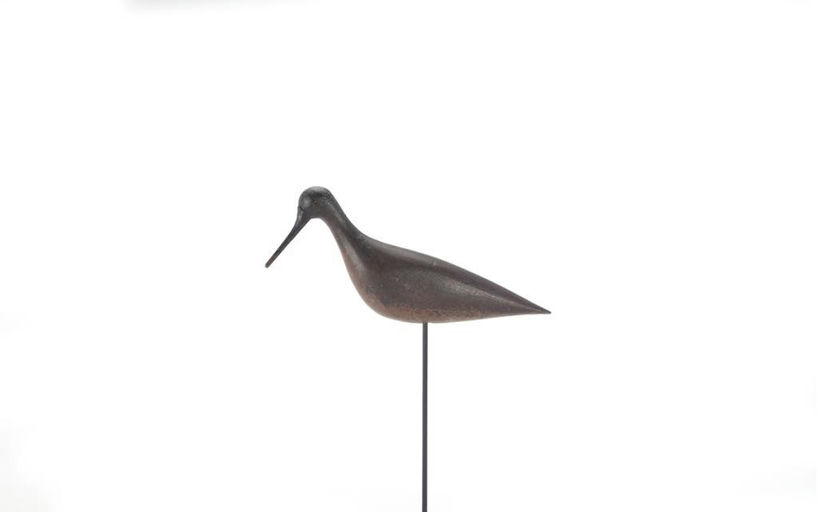 Nathan Rowley Horner – Rare Dowitcher – 2021