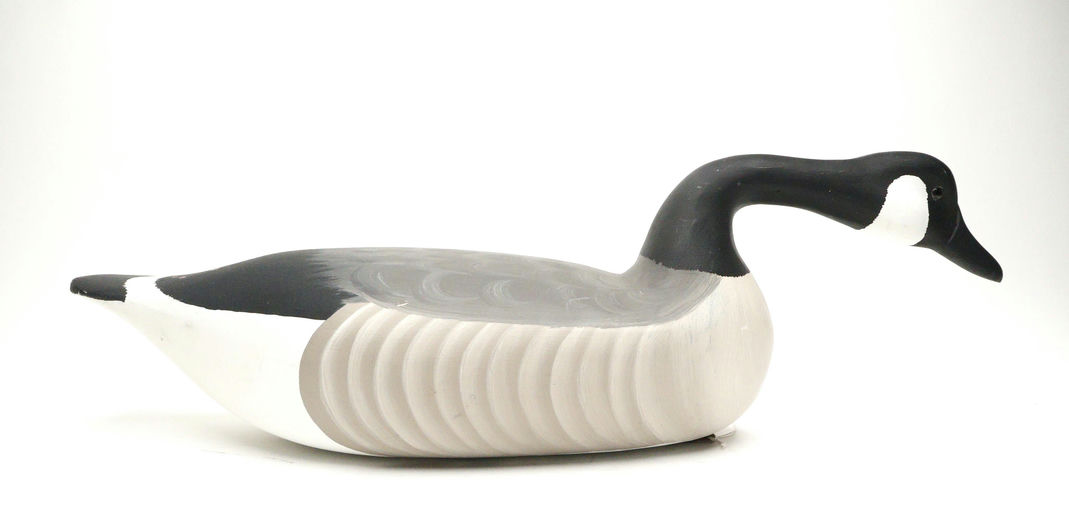 Harry V. Shourds – Canada Goose – 2026
