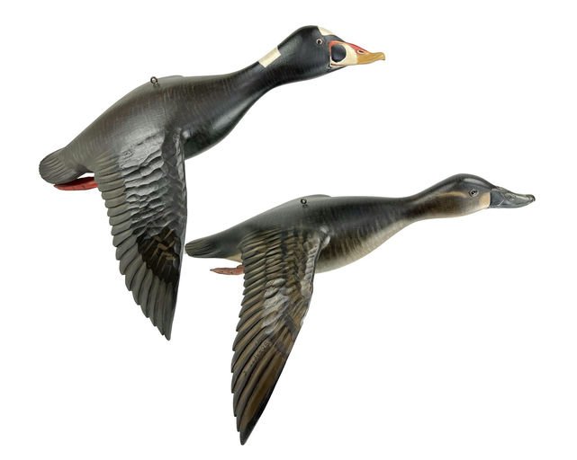 Mike Borrett – Flying Scoter Pair – 2024
