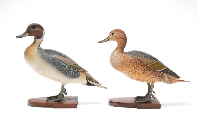 Ward Brothers – Pair of Pintail – 2026