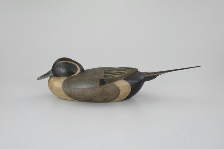 Mark McNair – Early Snuggle-Head Pintail – 2026