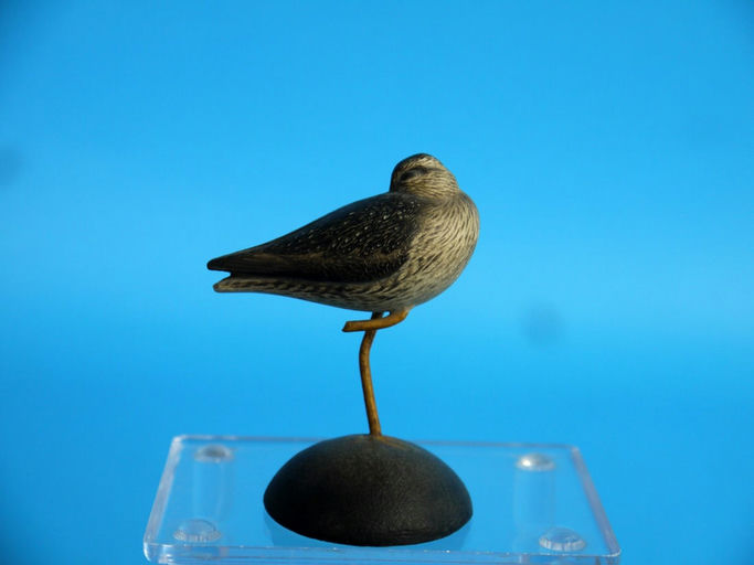 Leo McIntosh – Cocktail Size Yellowlegs – 2026