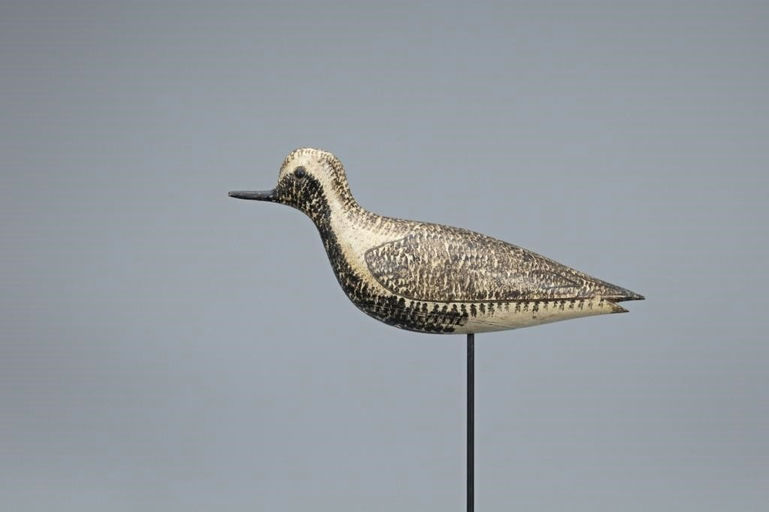 George Boyd – Black-Bellied Plover – 2019