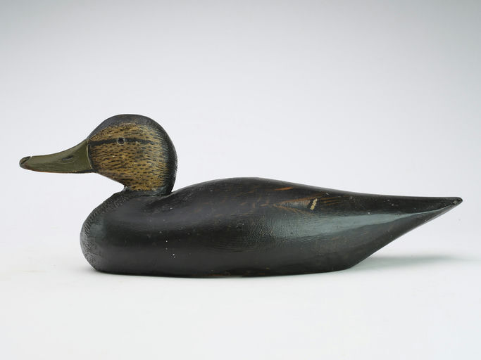 Elmer Crowell – Black Duck – 2024