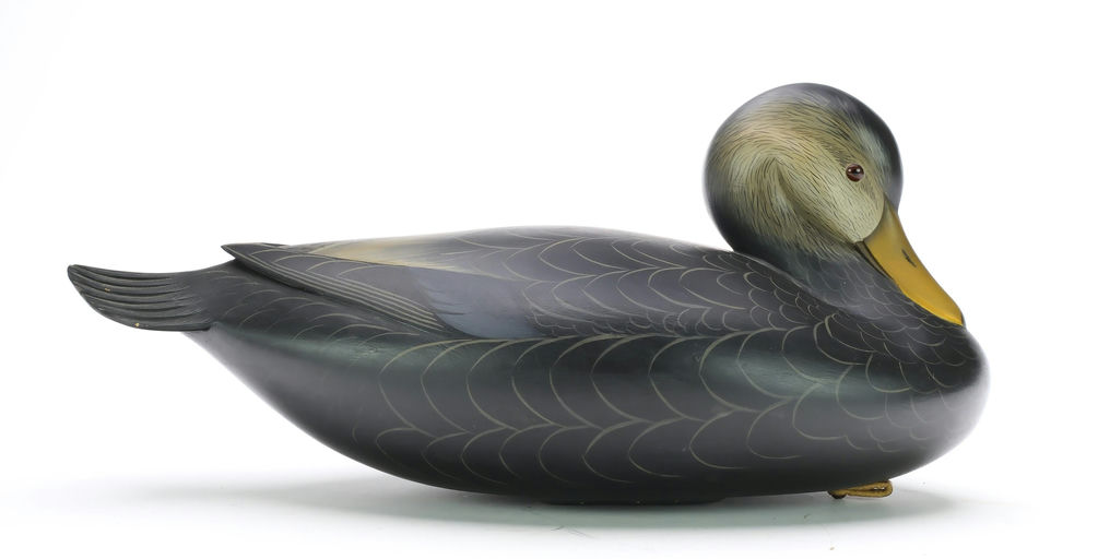 George Strunk – Preening Black Duck – 2024