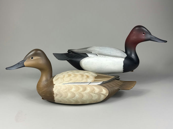 George Strunk – Canvasback – 2026