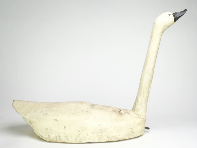 Frank Finney – An early and large swan – 2023