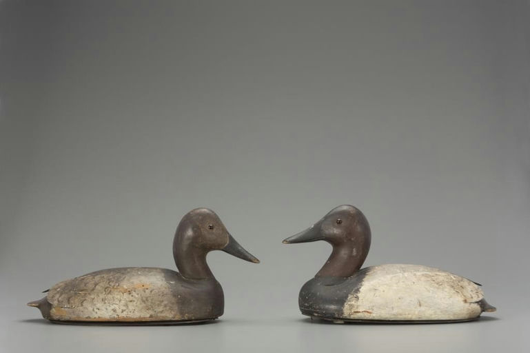 John C. Schweikart – Canvasback Pair – 2018
