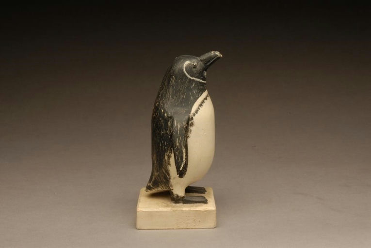Charles Hart – Exceedingly Rare Galapagos Penguin – 2008