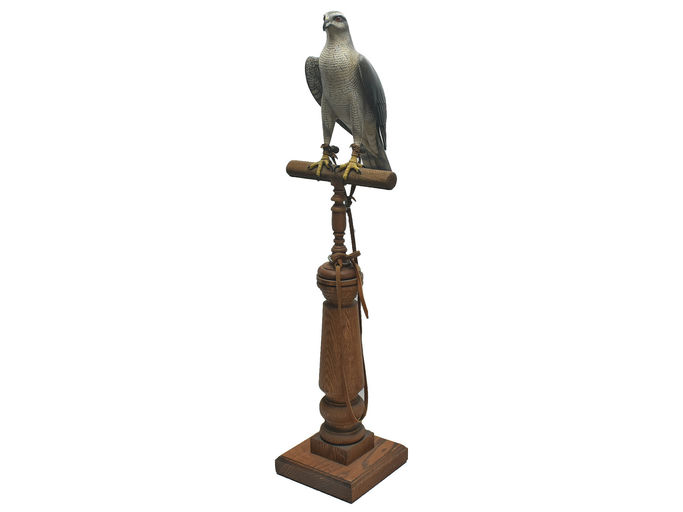 Bill Gibian — Goshawk