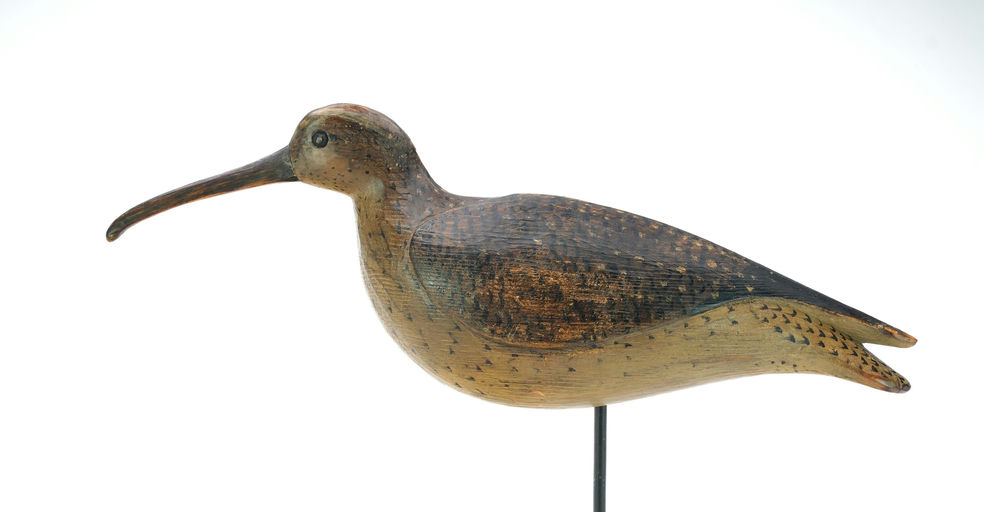 Mark McNair – Curlew – 2025