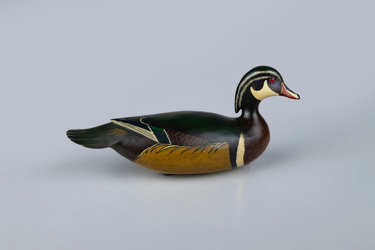 Bob White – Wood Duck – 2026