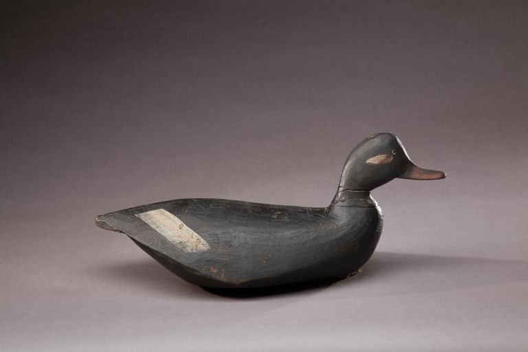 Albert Terry – Scoter – 2012