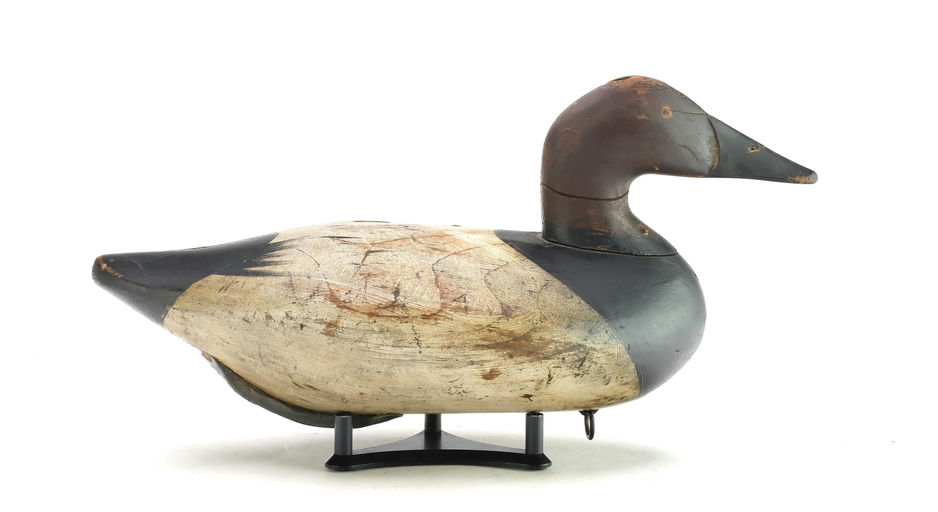 Bob McGaw – Canvasback – 2025