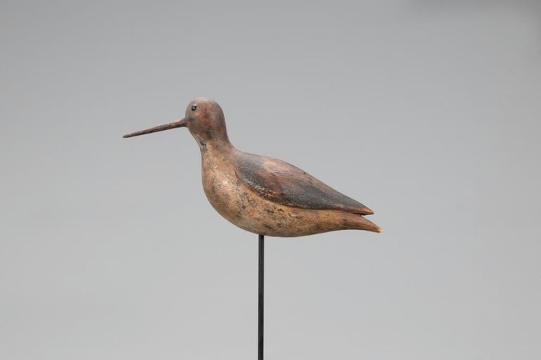 Thomas Hewlett – Dowitcher With Turned Tail – 2021