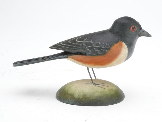 Frank Finney – Rufous-sided towhee – 2023