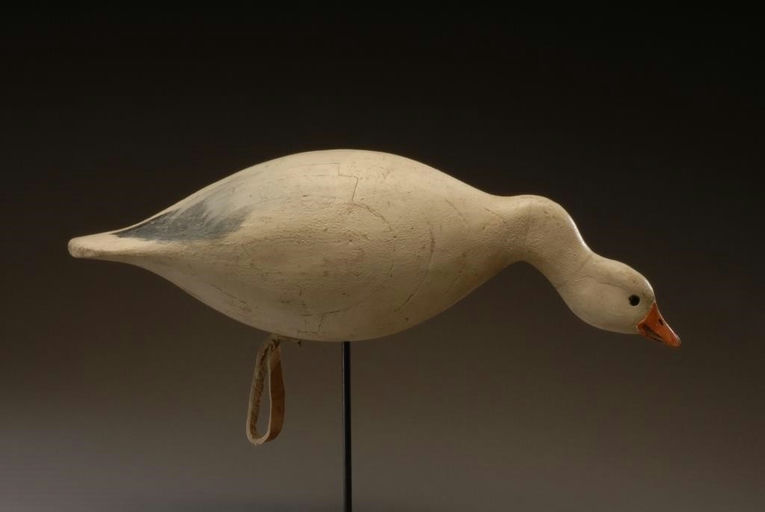 John Tax – Feeding Snow Goose – 2008
