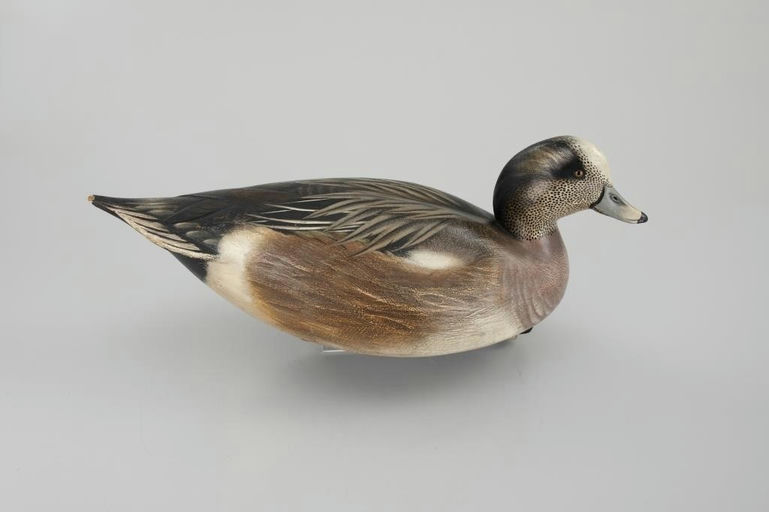Jim Schmiedlin – Wigeon Drake – 2026