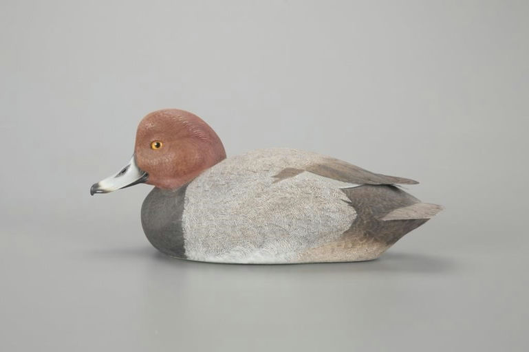 Jim Sprankle – Redhead Drake – 2023