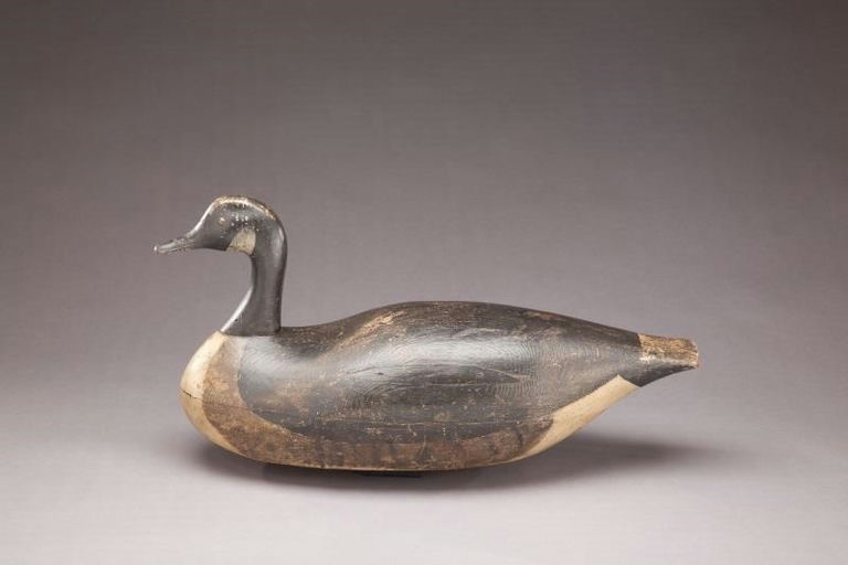 Joseph Lincoln – Canada Goose – 2011