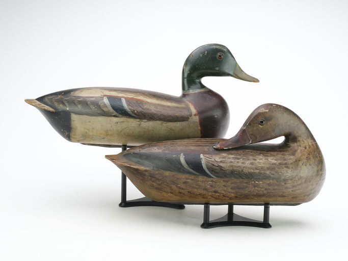 Charles Perdew – Pair of Mallard – 2024