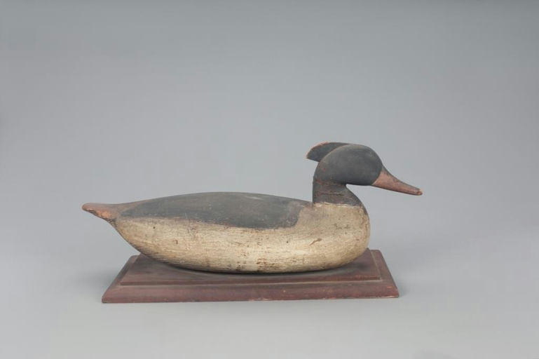 Taylor Johnson – Oversize American Merganser Drake – 2021