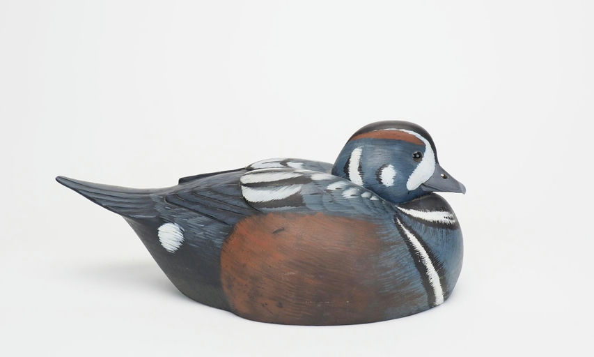 Keith Mueller – Harlequin Duck – 2025