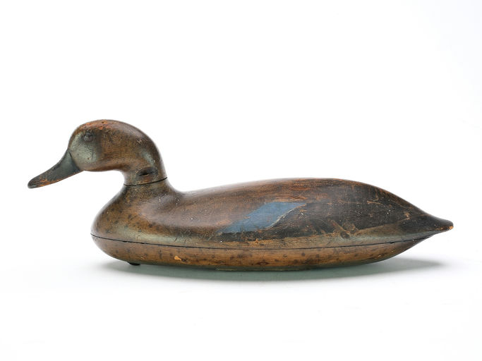 John Blair, Sr. – Blue-winged Teal – 2025