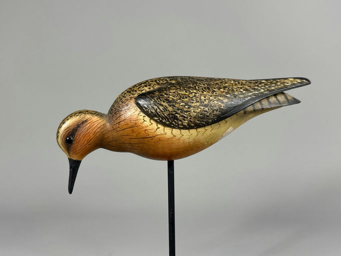 Bill Gibian – Snipe – 2026