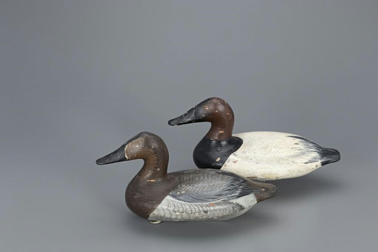 Leonard Pryor – Canvasback Pair – 2019