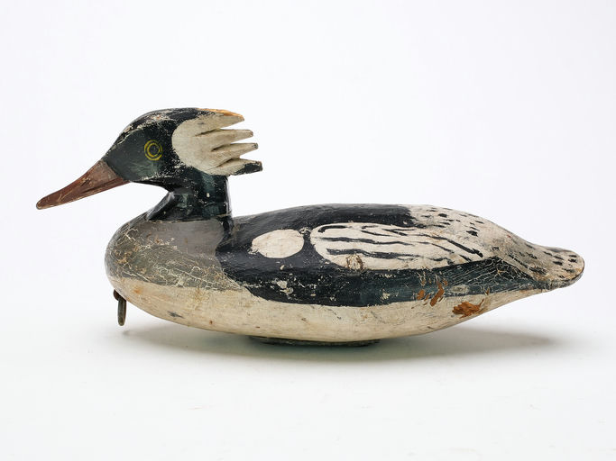 Doug Jester – Merganser – 2025