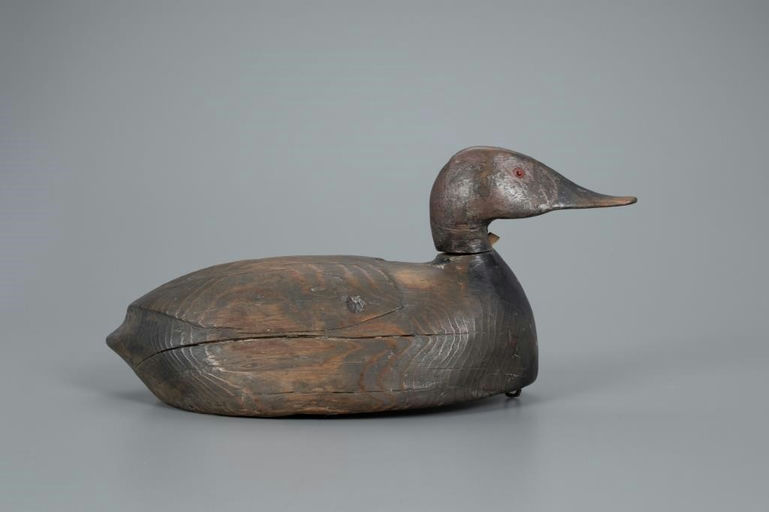 Ward Brothers – Early Canvasback – 2020