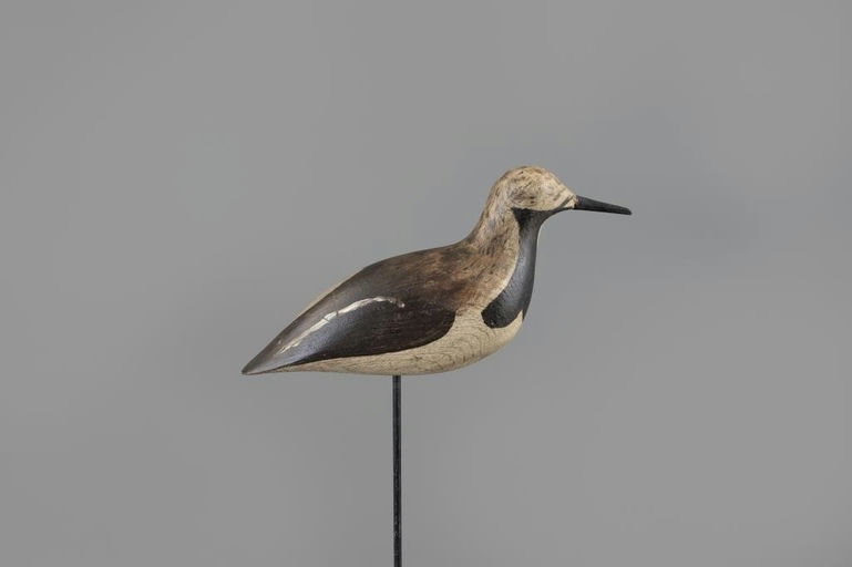 John McAnney – Hillman-McAnney Ruddy Turnstone – 2025