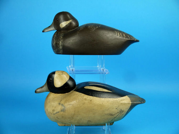 Charles R. Birdsall – Bufflehead Pair – 2026