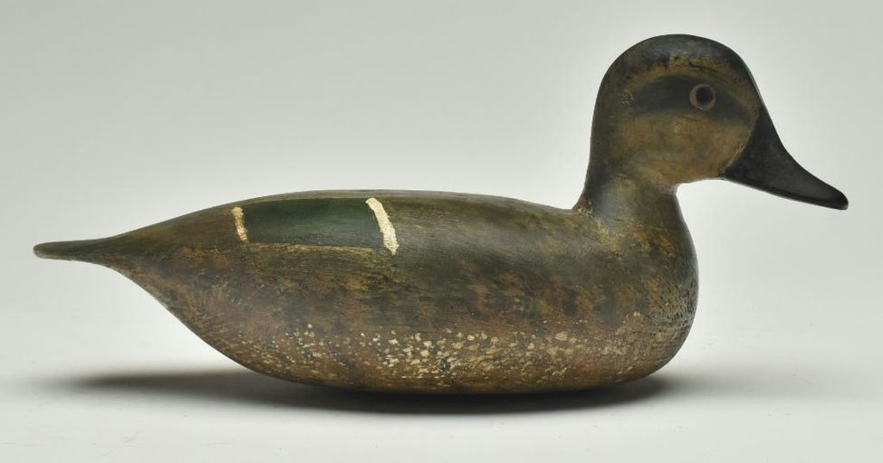 Hurley Conklin – Green-winged Teal Hen – 2023