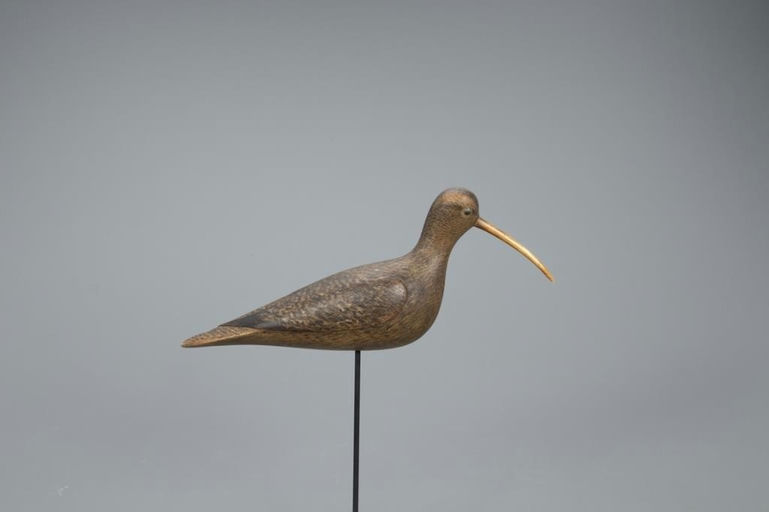 Mark McNair – Eskimo Curlew – 2020