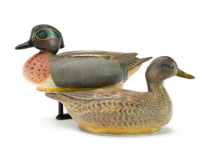 Tom Schroeder – Green-winged Teal – 2025