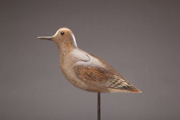 John Dilley – Extremely Rare Golden Plover – 2012