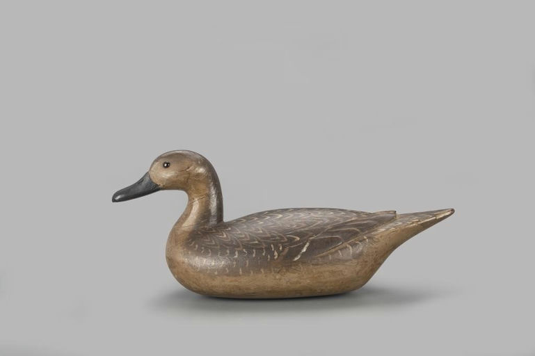 Richard Janson – Early Pintail Hen – 2022