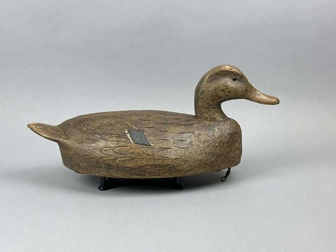 Ben Schmidt – Mallard Hen – 2026