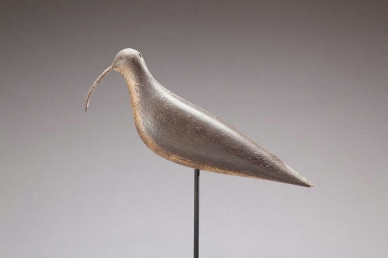 David Ward – Eskimo Curlew – 2013