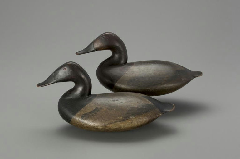 John Graham – Canvasback Pair – 2018