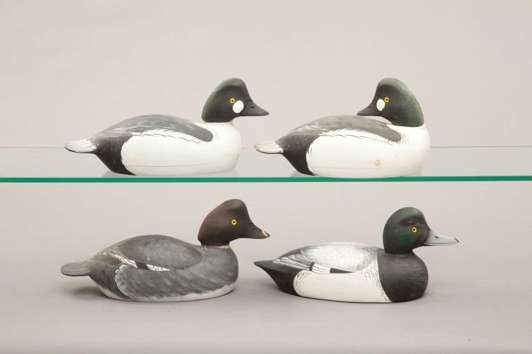 Marty Collins – Three Goldeneyes and a Bluebill Drake – 2011